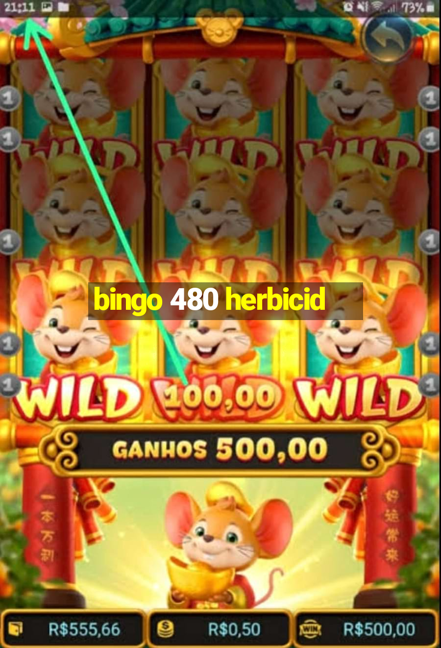 bingo 480 herbicid