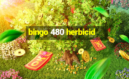 bingo 480 herbicid