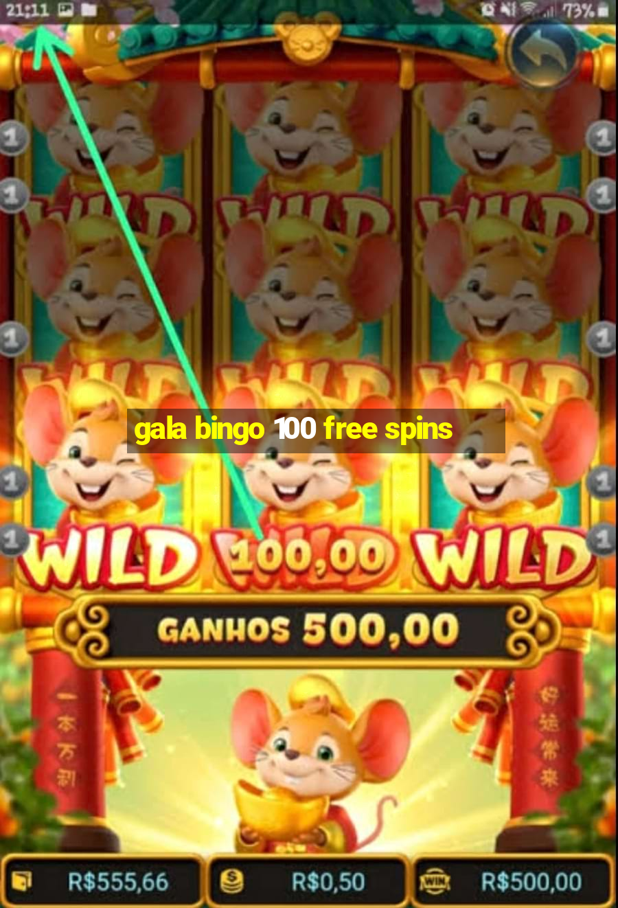 gala bingo 100 free spins