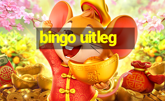 bingo uitleg