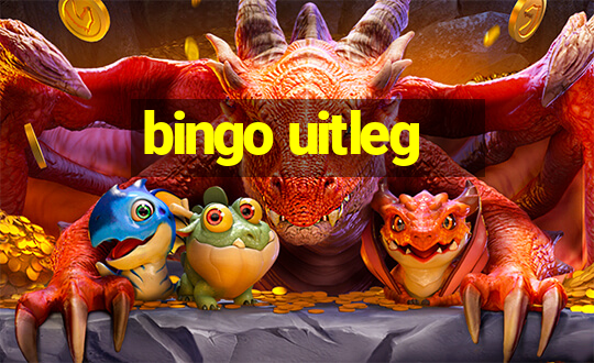 bingo uitleg