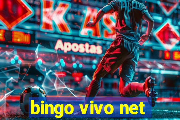 bingo vivo net