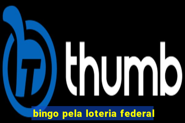 bingo pela loteria federal