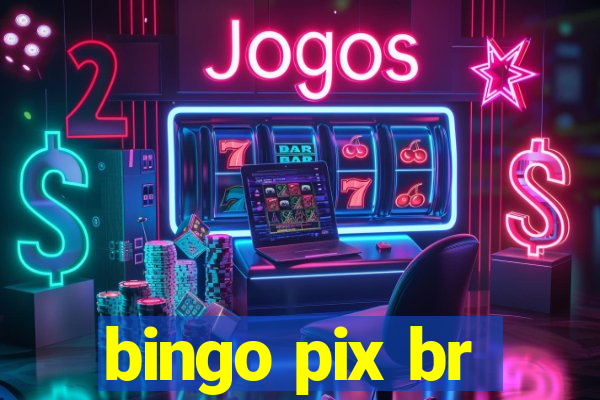 bingo pix br