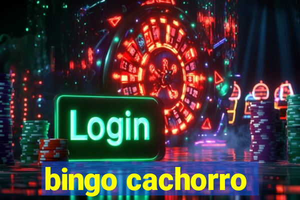 bingo cachorro