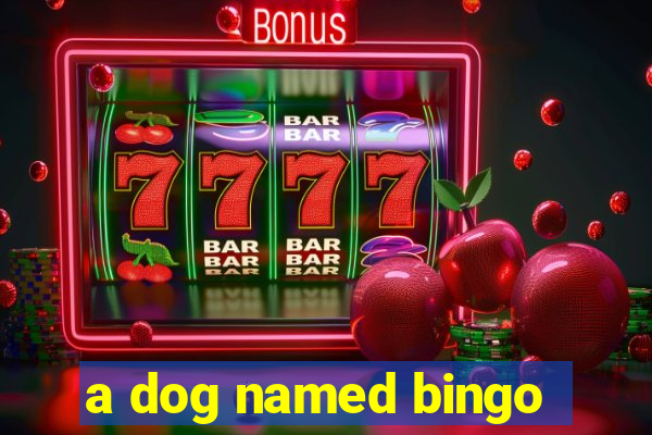 a dog named bingo