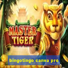 bingotingo canva pro