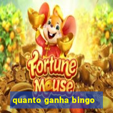 quanto ganha bingo