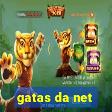 gatas da net