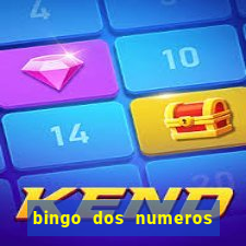 bingo dos numeros de 1 a 30