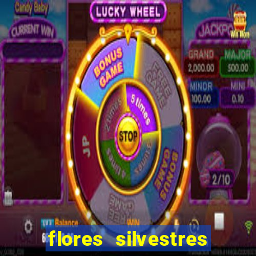 flores silvestres desbravadores desbravadores 25