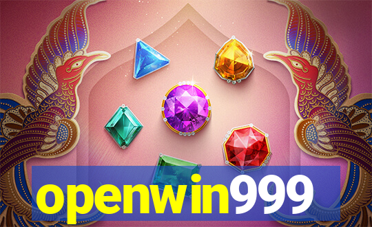 openwin999