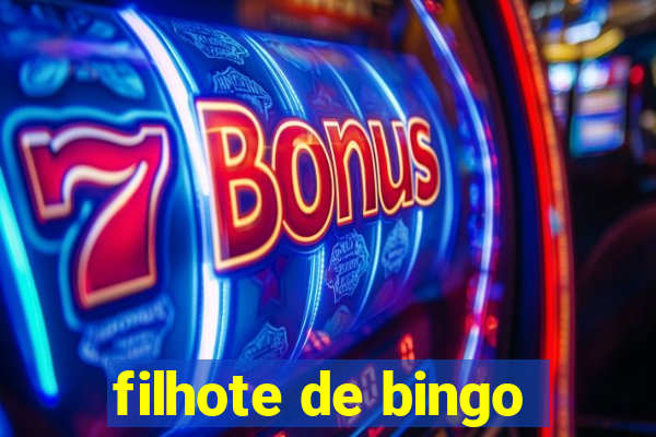 filhote de bingo