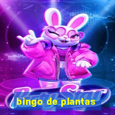 bingo de plantas