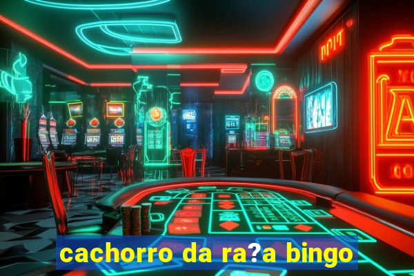 cachorro da ra?a bingo